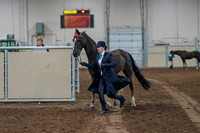 2020 - AB Morgan Horse - Fri, Sept 04 - 00668