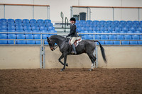 2019 Morgan Horse Show - Aug 30, 2019 - 23108