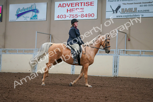 2019 Morgan Horse Show - Aug 30, 2019 - 16423