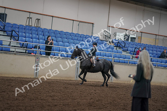 2019 Morgan Horse Show - Aug 30, 2019 - 12676