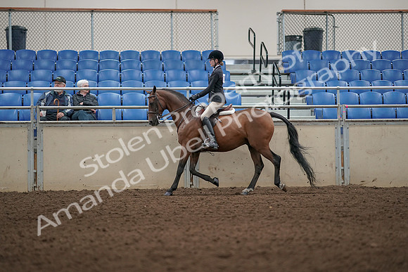 2019 Morgan Horse Show - Aug 31, 2019 - 04977
