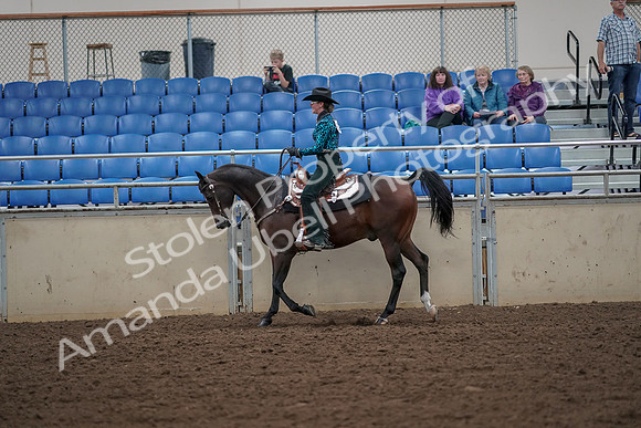 2019 Morgan Horse Show - Aug 30, 2019 - 25914