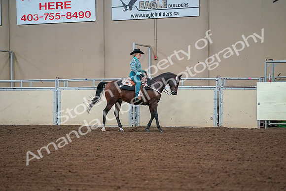 2019 Morgan Horse Show - Aug 30, 2019 - 17051