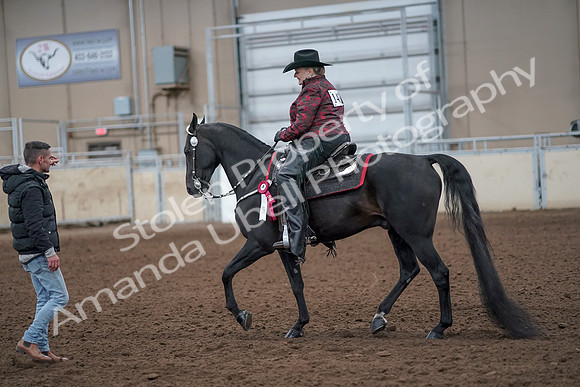 2019 Morgan Horse Show - Aug 31, 2019 - 10830