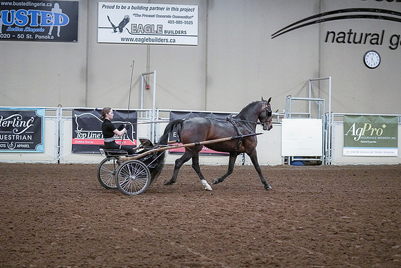 Spring Fling - Saturday - April 20, 2019  -  00332