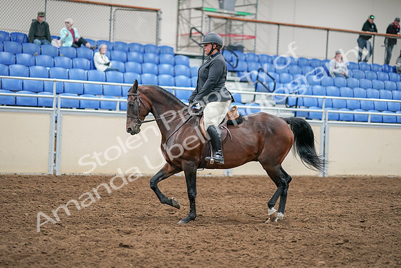 2020 - AB Morgan Horse - Sat, Sept 05 - 14301