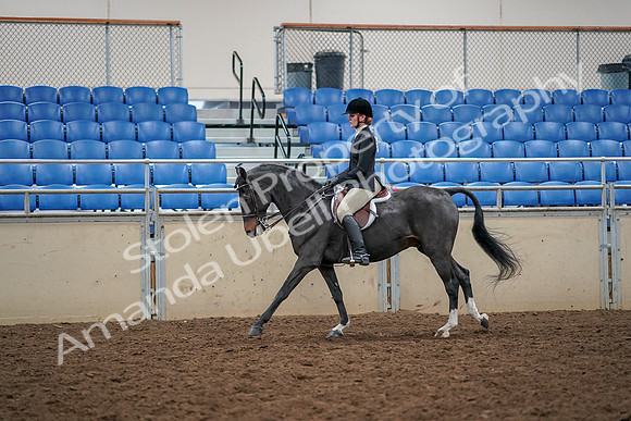 2019 Morgan Horse Show - Aug 30, 2019 - 23426