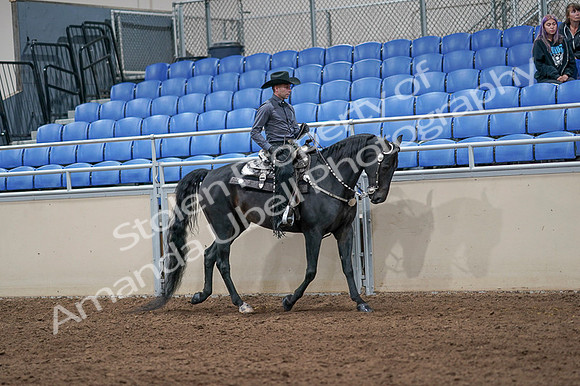 2020 - AB Morgan Horse - Fri, Sept 04 - 08468