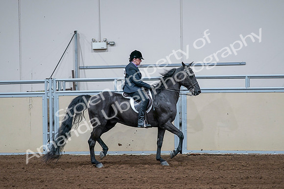 2020 - AB Morgan Horse - Fri, Sept 04 - 01829