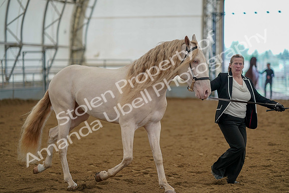 July 19, 2019 - 1158