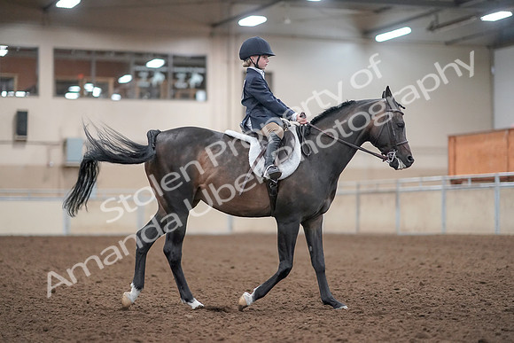 2019 Morgan Horse Show - Aug 31, 2019 - 19675