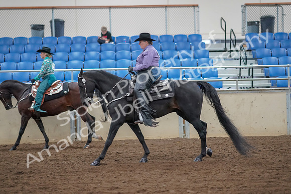 2019 Morgan Horse Show - Aug 30, 2019 - 16891