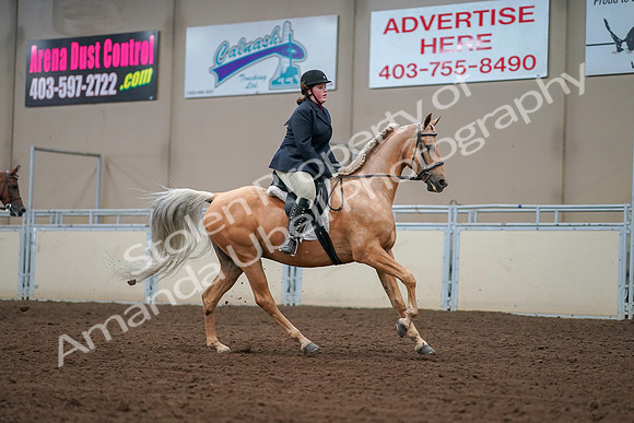 2019 Morgan Horse Show - Aug 30, 2019 - 16418