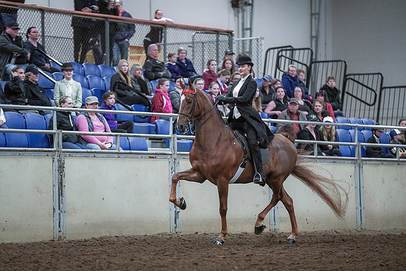 Spring Fling - Saturday - April 20, 2019  -  00500