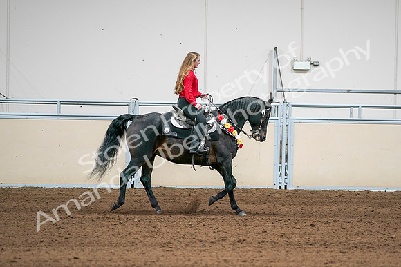 2020 - AB Morgan Horse - Sat, Sept 05 - 10478
