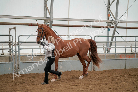 July 19, 2019 - 1340