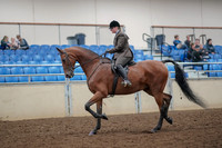 2019 Morgan Horse Show - Aug 30, 2019 - 29214