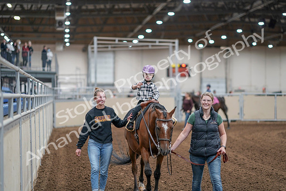 2020 - AB Morgan Horse - Sat, Sept 05 - 10075