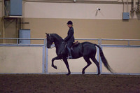 Class 125 - Morgan Hunter Pleasure, Open