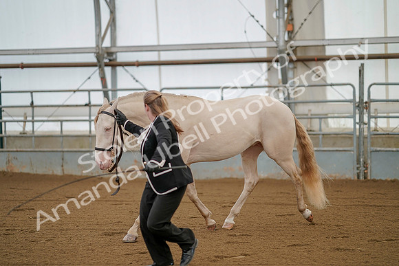 July 19, 2019 - 364