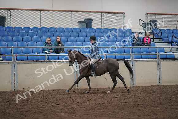 2019 Morgan Horse Show - Aug 31, 2019 - 07330