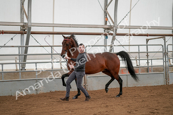 July 19, 2019 - 1185
