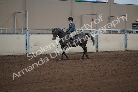 2019 Morgan Horse Show - Sept 01, 2019 - 10902