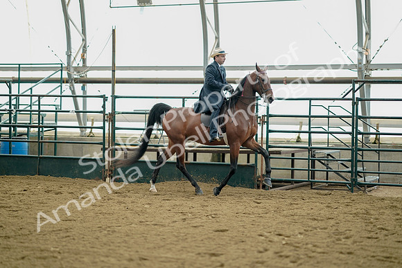 July 21, 2019 - 01715