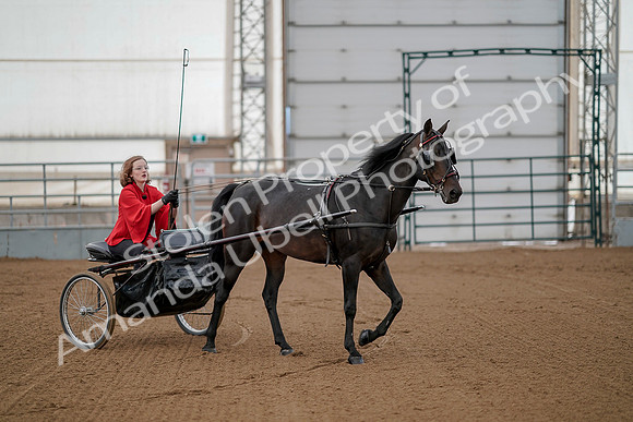 July 20, 2019 - 00176