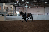 2019 Morgan Horse Show - Aug 31, 2019 - 03384