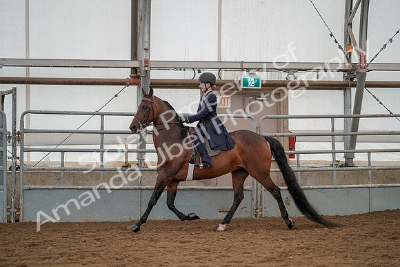 July 20, 2019 - 03619