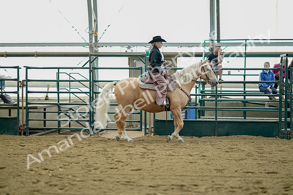 July 21, 2019 - 01772