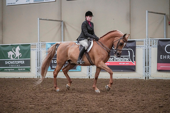 Spring Fling - Saturday - April 20, 2019  -  04626