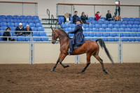 2020 - AB Morgan Horse - Sat, Sept 05 - 09707