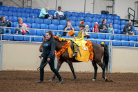 2020 - AB Morgan Horse - Sat, Sept 05 - 05768
