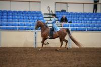 2020 - AB Morgan Horse - Sat, Sept 05 - 03320