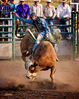 rodeo - 050