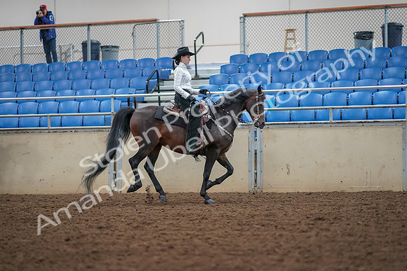 2019 Morgan Horse Show - Aug 30, 2019 - 16951