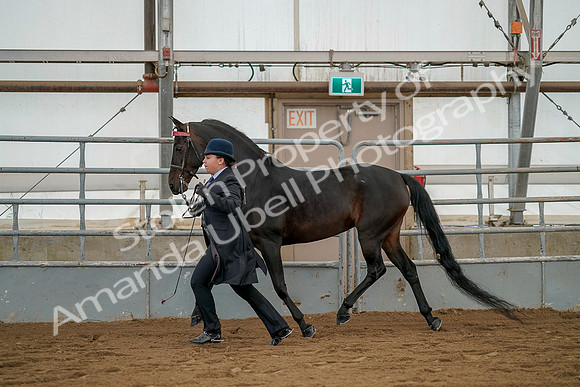 July 19, 2019 - 2077
