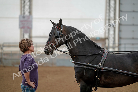 July 20, 2019 - 00283