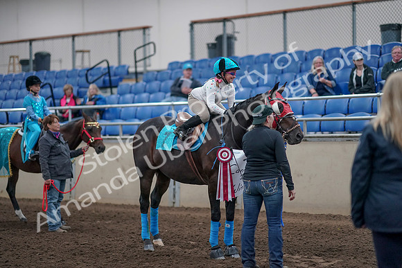 2019 Morgan Horse Show - Aug 31, 2019 - 10149