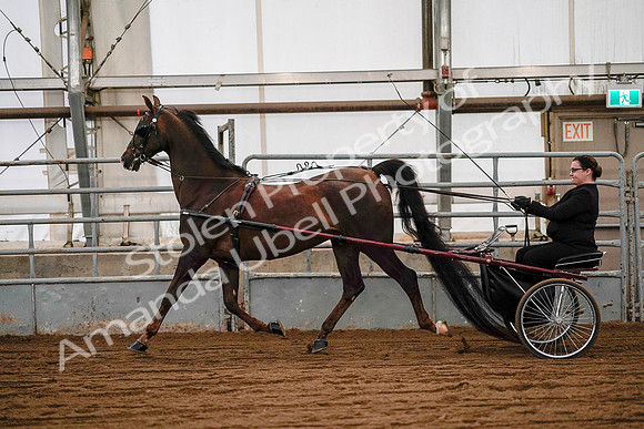 July 19, 2019 - 7055