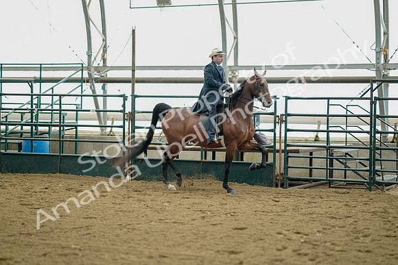 July 21, 2019 - 01713
