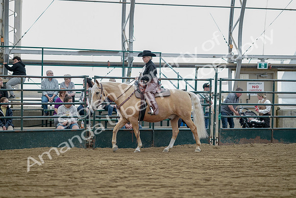 July 21, 2019 - 06533