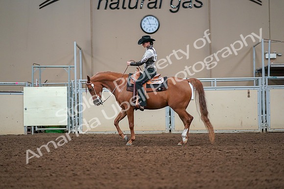 2019 Morgan Horse Show - Aug 30, 2019 - 16795