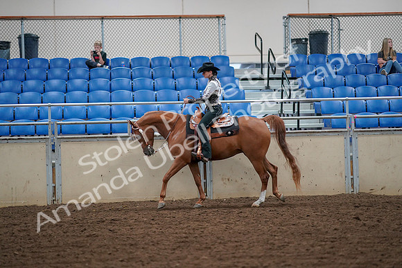 2019 Morgan Horse Show - Aug 30, 2019 - 16850