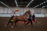 2019 Morgan Horse Show - Aug 31, 2019 - 01031