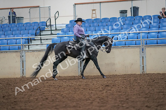 2019 Morgan Horse Show - Aug 30, 2019 - 16928