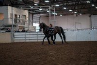 2019 Morgan Horse Show - Aug 31, 2019 - 03385