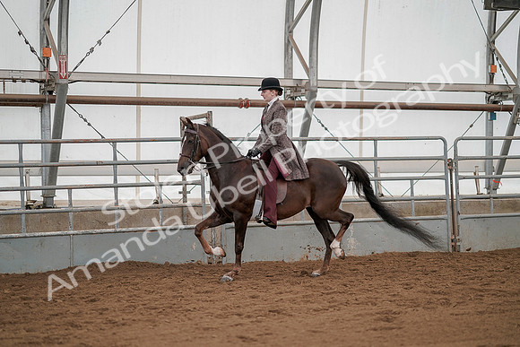 July 20, 2019 - 04239